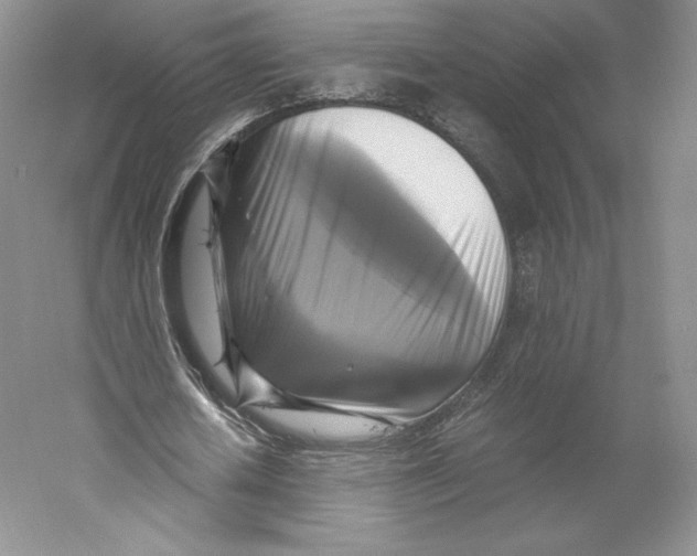 X0000059230626200511111549