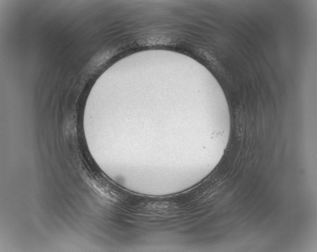 X0000059230631200511111549