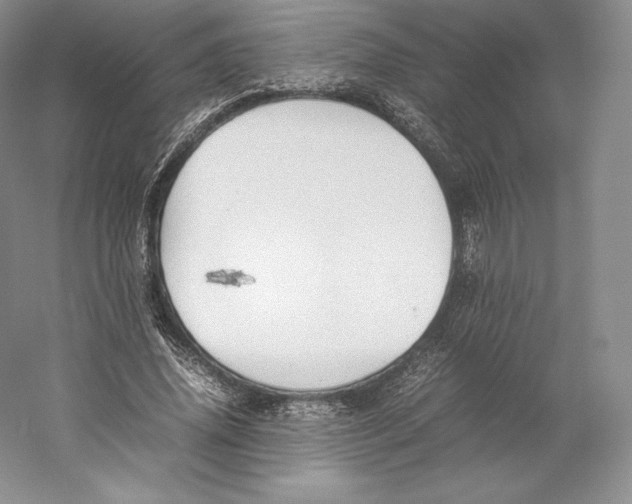 X0000059230636200511111549