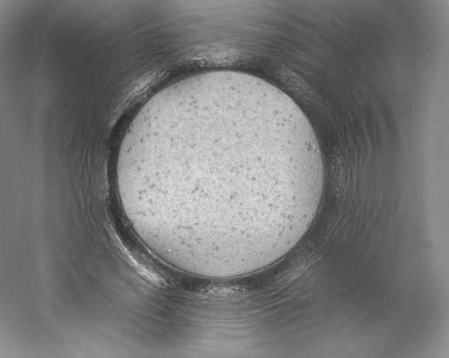 X0000059230638200511111549