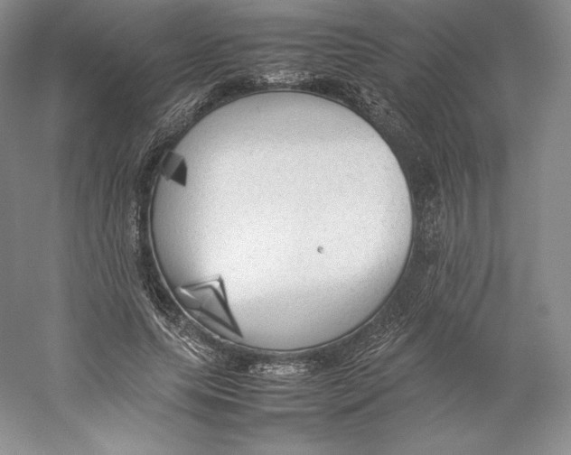 X0000059230639200511111549