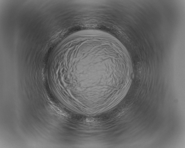 X0000059230641200511111549