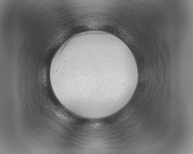 X0000059230646200511111549