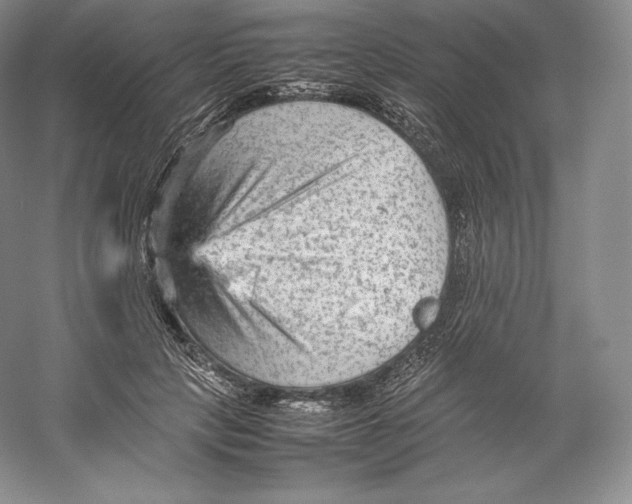 X0000059230649200511111549