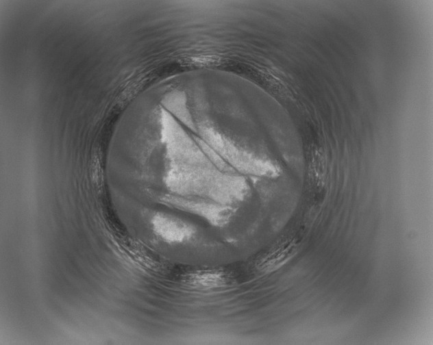 X0000059230651200511111549