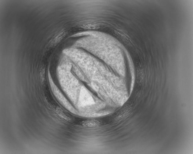 X0000059230652200511111549