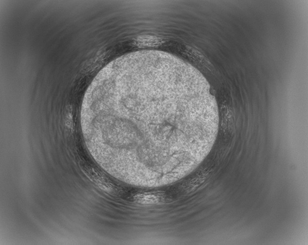 X0000059230655200511111550