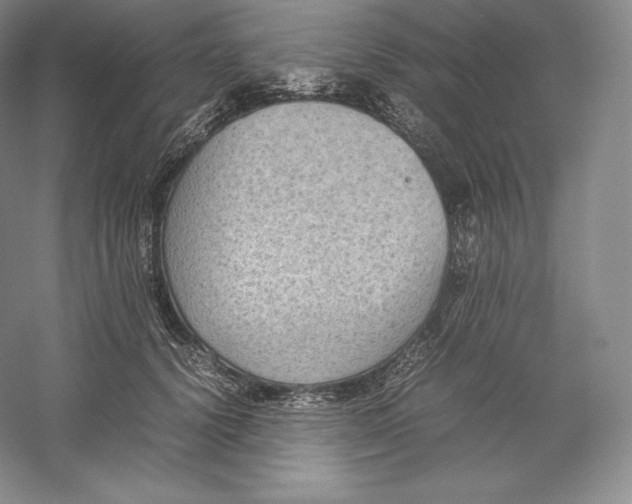 X0000059230656200511111550