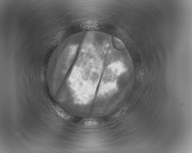 X0000059230658200511111550