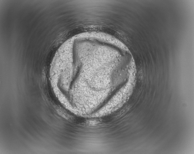 X0000059230662200511111550