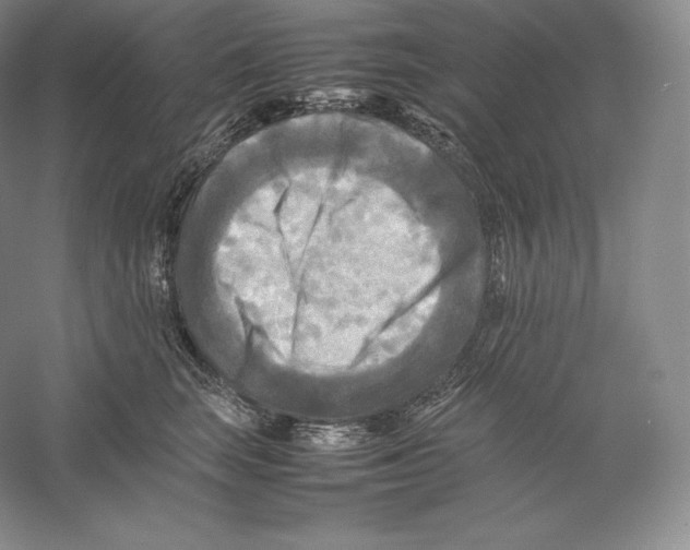 X0000059230663200511111550