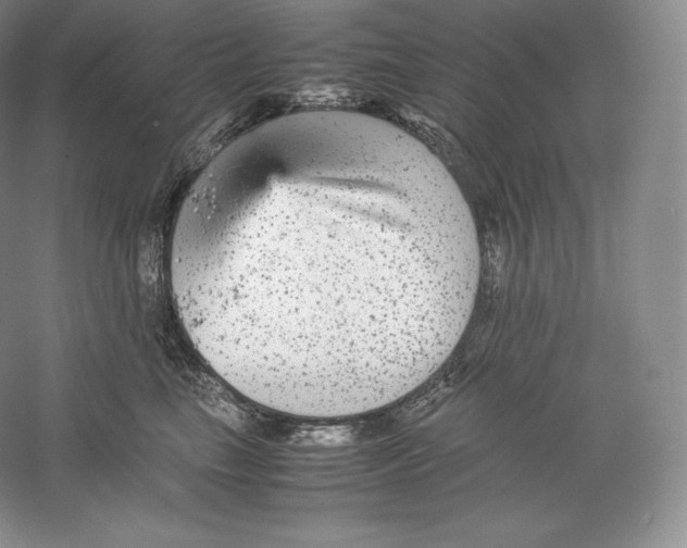 X0000059230665200511111550