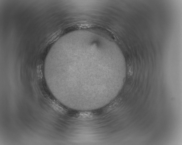 X0000059230666200511111550