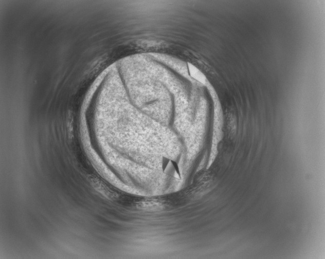 X0000059230668200511111550