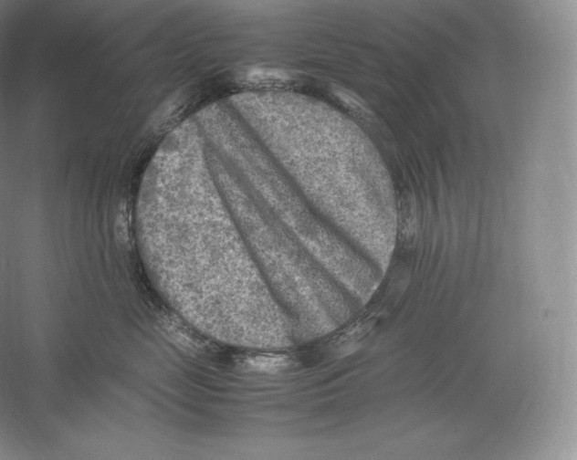 X0000059230669200511111550