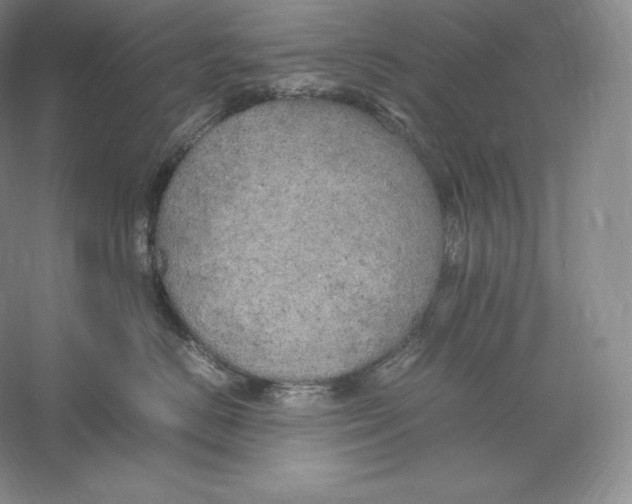 X0000059230670200511111550