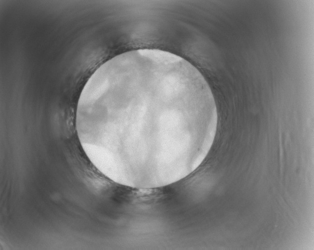 X0000059230672200511111550