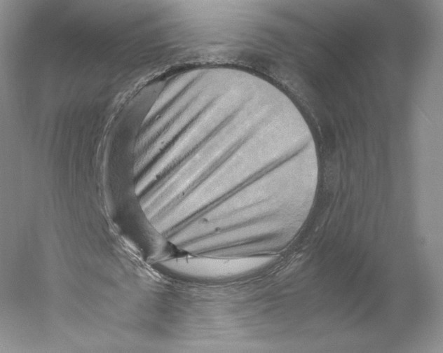 X0000059230673200511111549