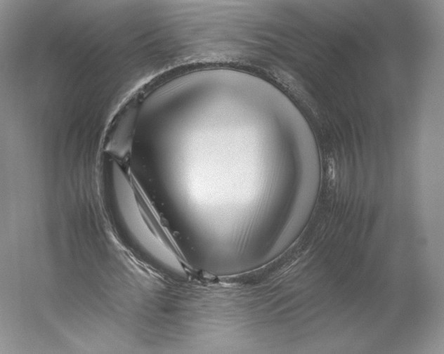 X0000059230676200511111549