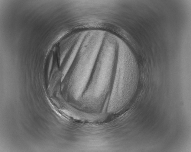 X0000059230677200511111549