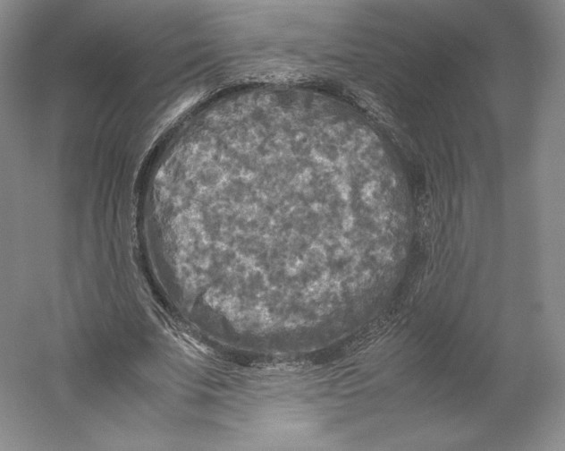 X0000059230679200511111549