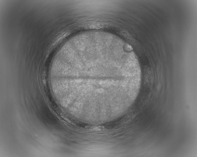 X0000059230683200511111549