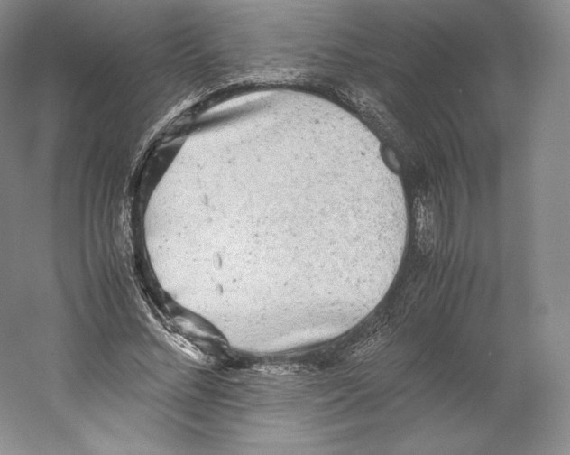 X0000059230684200511111549