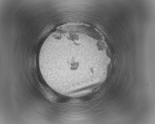 X0000059230685200511111549