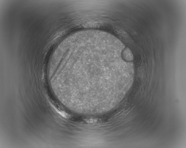 X0000059230687200511111549