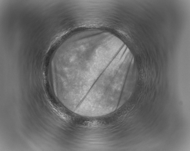 X0000059230688200511111549