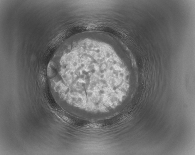 X0000059230691200511111549