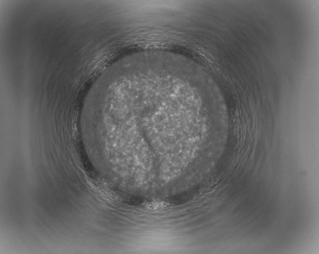 X0000059230695200511111549