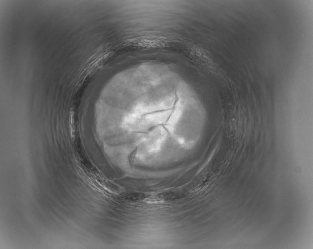 X0000059230696200511111549