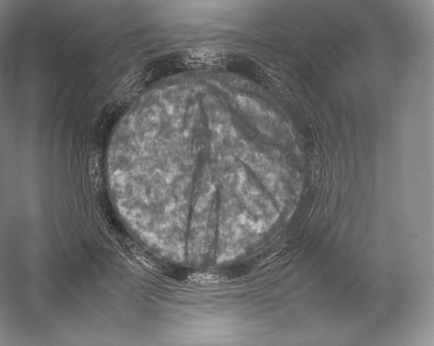 X0000059230699200511111549