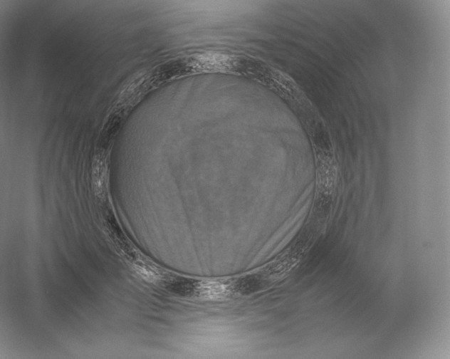 X0000059230701200511111548