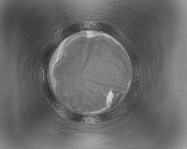 X0000059230703200511111548