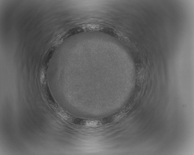 X0000059230709200511111548