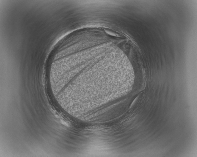 X0000059230724200511111547