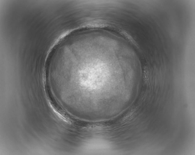 X0000059230726200511111547