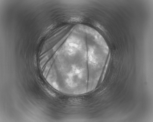 X0000059230729200511111547