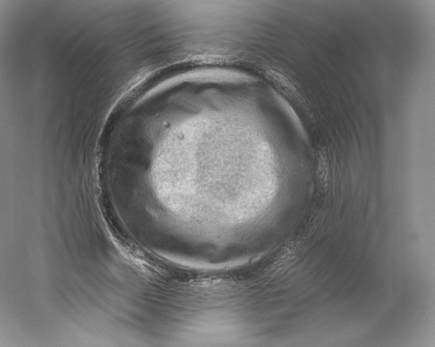 X0000059230730200511111548