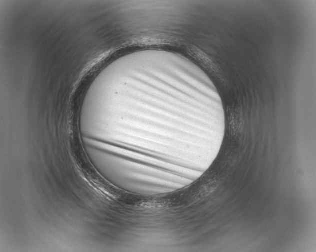 X0000059230732200511111548