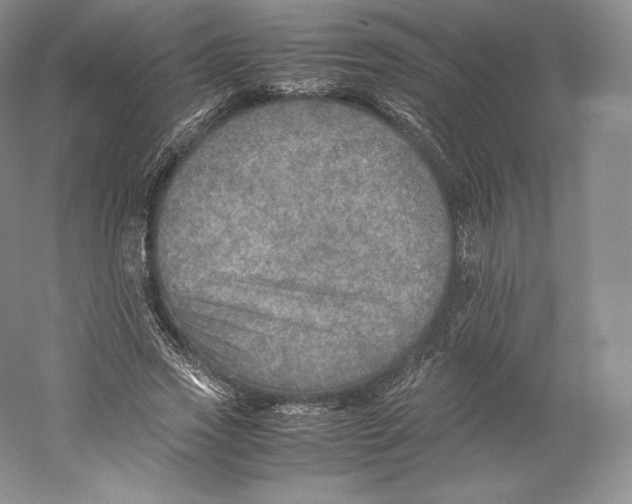 X0000059230733200511111548