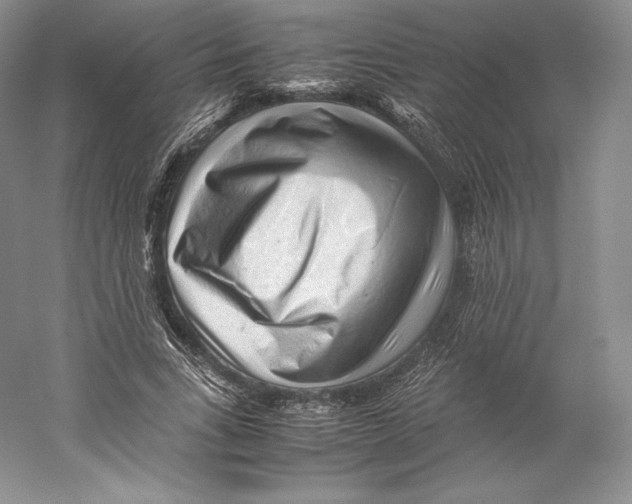 X0000059230735200511111548