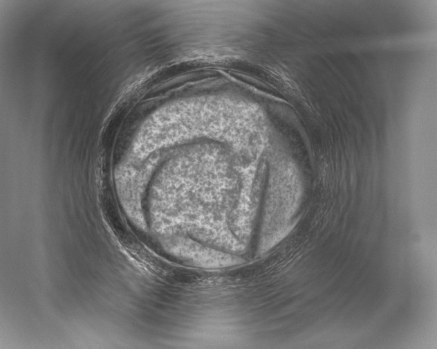 X0000059230736200511111548