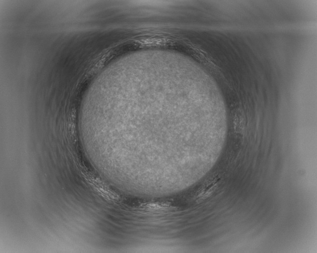 X0000059230737200511111548