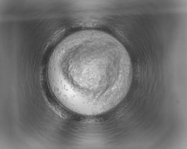 X0000059230738200511111548