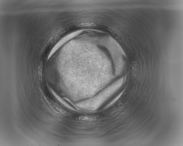 X0000059230739200511111548