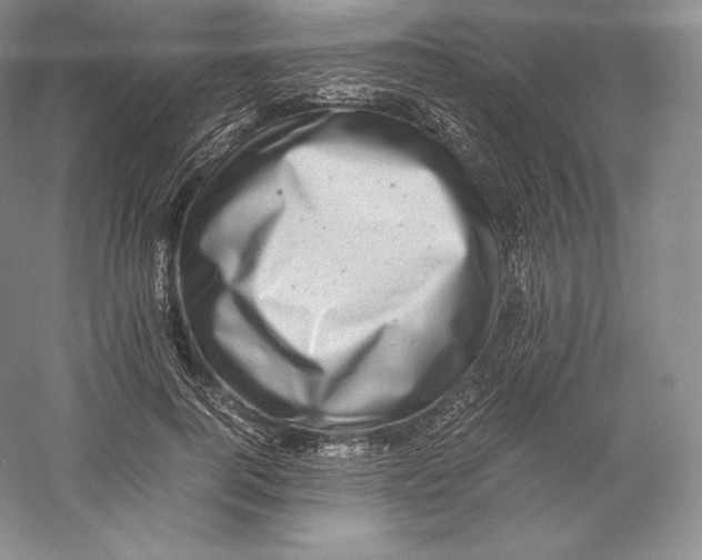 X0000059230744200511111548