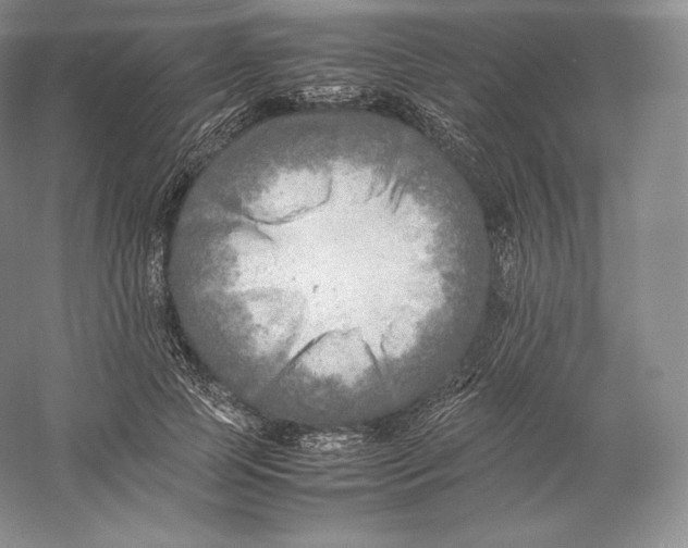 X0000059230745200511111548